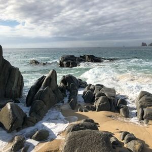 Meet your Posher, Dawn